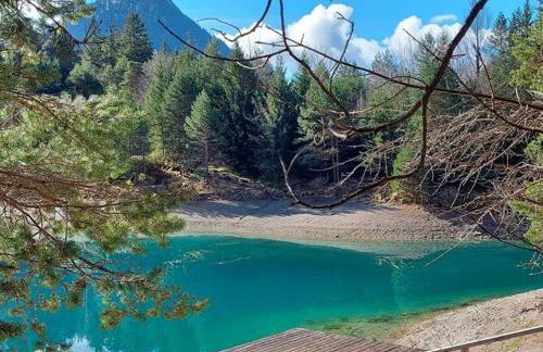 Holiday apartment Alpenrose - Foto 33