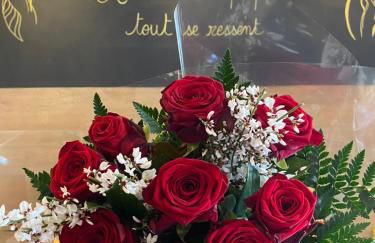 SPICY LOVE - proche Nice et Cannes - Jacuzzi privatif - French Riviera - luxe - suite romantique - Foto 13