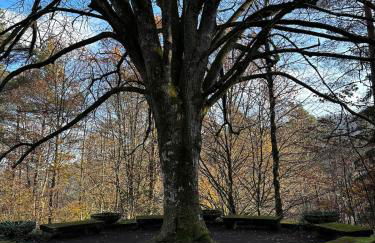Waldparadies mit allem was Sie brauchen - Photo 18