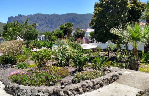 Finca Primavera - Foto 20