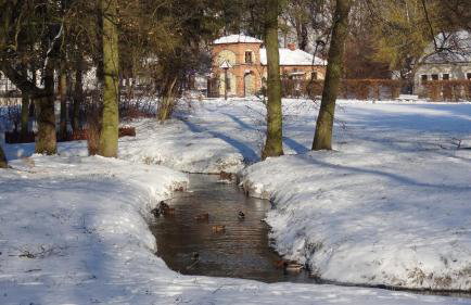 Apartament Parkowy - Foto 25