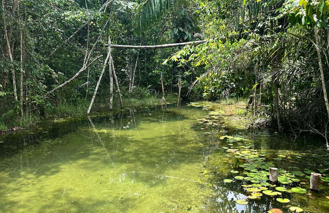 Escursione alla riserva indigena Potiguara - Foto 7