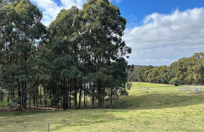 Blueberry Hills on Comleroy - Photo 59