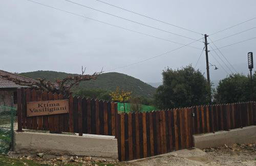 Κτήμα Βασίληγιάννη - Foto 76