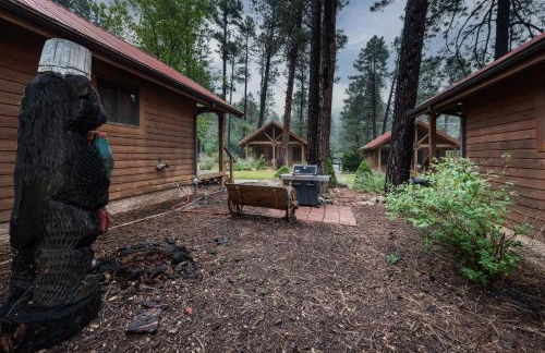 Shadow Mountain Lodge and Cabins - Foto 42