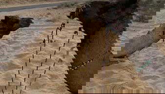 Camello por el desierto de Thar