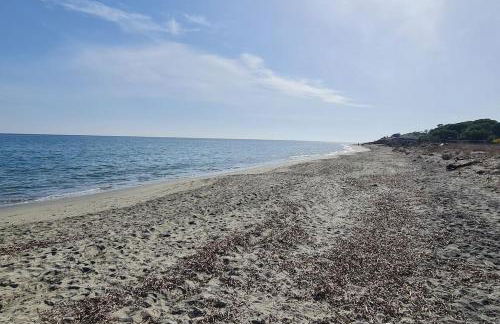 Magnifique villa avec piscine en bord de Mer - Foto 14