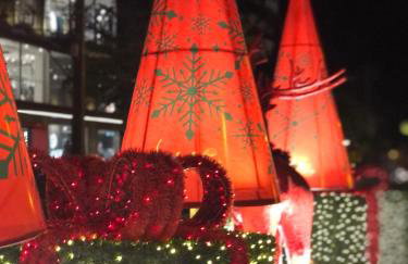 Rancho da Vovó Cleia 1 - Foto 52