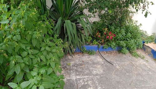 Piso completo 5 personas - Foto 5