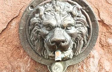 Premium Vulkaneifel Chalet - Foto 41