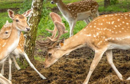 Przystań Nad Zatoką - Gospodarstwo Agroturystyczne - Foto 22