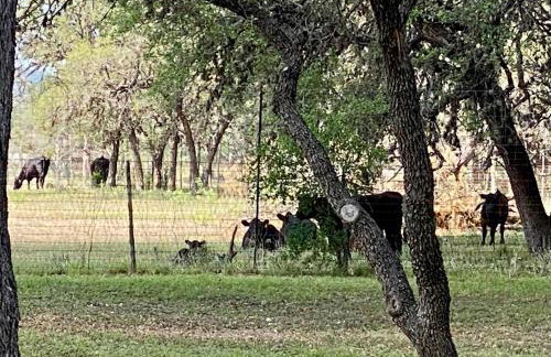 Away at the River - Foto 17