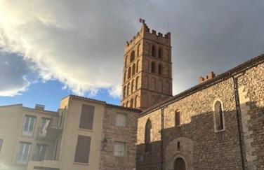 Maison Soleil - Elne - Foto 52