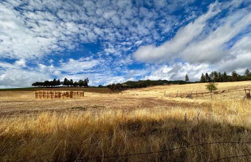 Farmhouse RV - Sunset Pergola - Fire Pit - Views - Foto 15