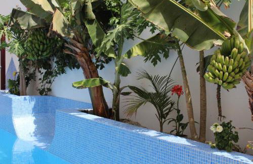 CASA EL OLIVO, TENERIFE - Foto 20