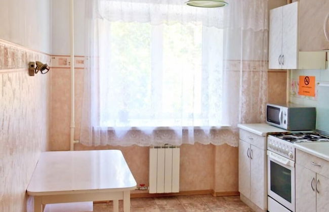 Apartment ALLiS-HALL on Pervomayskaya 70 - Foto 12