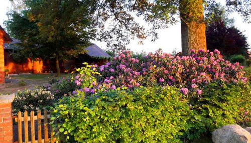Ferienwohnung Rehblick - Foto 3