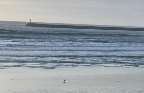 Árvore Cozy com Jardim - Foto 42