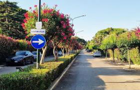 Villa Domus Dea Mondello - Foto 45