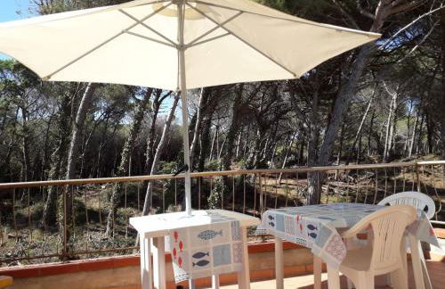 Bibbona Summer - Pineta 1 - - Foto 19