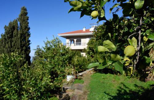 House in Εndless green - Arethousa, Ikaria - Photo 42