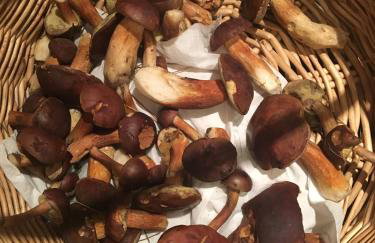 DOM 4 POKOJE Z BASENEM BLISKO WARSZAWY - Foto 35