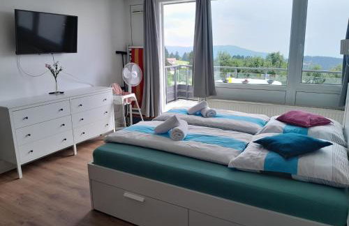 Ferienwohnung Marina in Sankt Englmar, Bayerischer Wald, familienfreundlich - Foto 39