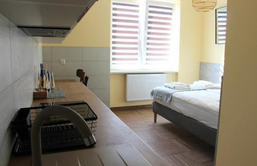 APART MAZURY Apartamenty na Mazurach - Foto 47