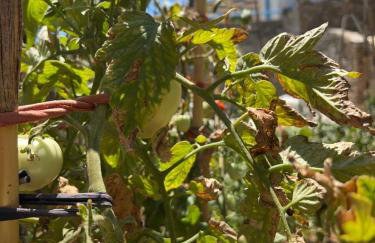 Thea Vouno Studios - Foto 25