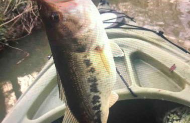 Beautiful Secluded Log Cabin - Foto 25