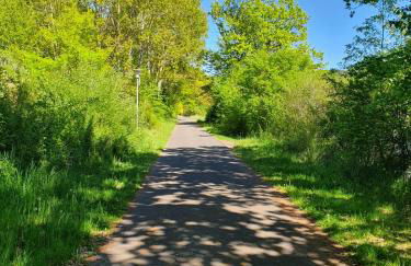 Ferienhaus Steffi - Foto 43