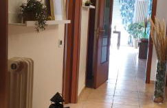 Green House - Photo 29