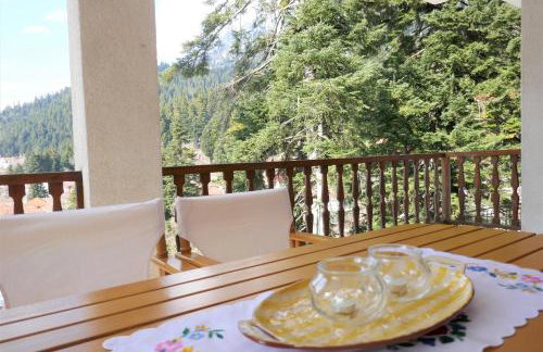 Evergreen Elati - Foto 61