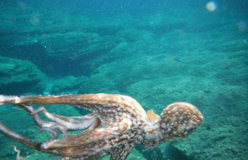 Villa Bruna - Foto 30