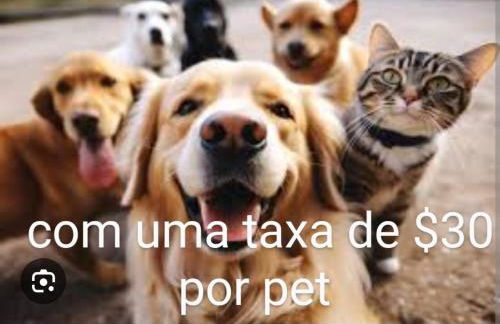 Casa central 74 com ótima localização - Foto 20