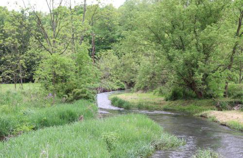 Penn's Creek Symphony - Foto 49