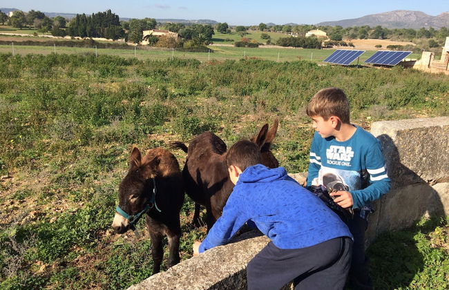 Ca Na Nina - Photo 48