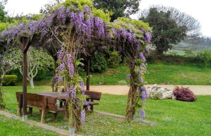 La Searila - Foto 24