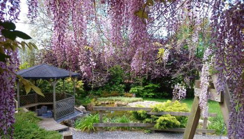 El Pedrueco Turismo Rural - Foto 5