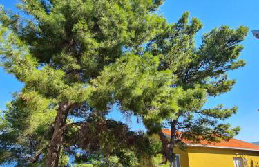 Vila Elena - Foto 30