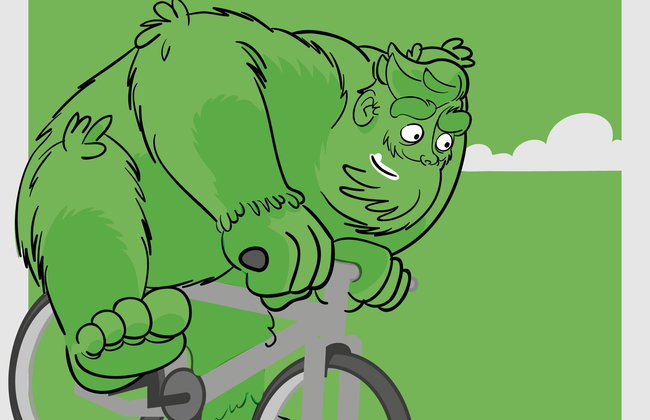 Irrisarri Land - Photo 6