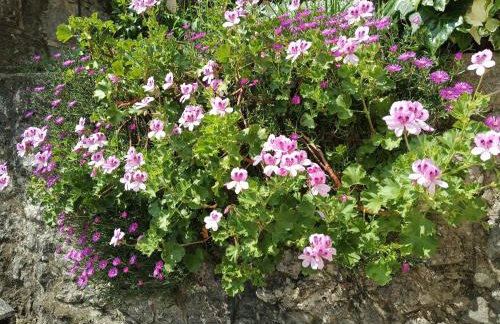 Apartman Lori - Photo 10