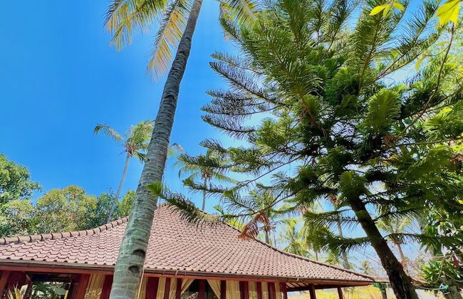 Villa Bulan Madu Gili Air - Photo 39