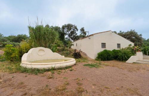 Finca la Arborea - Foto 25