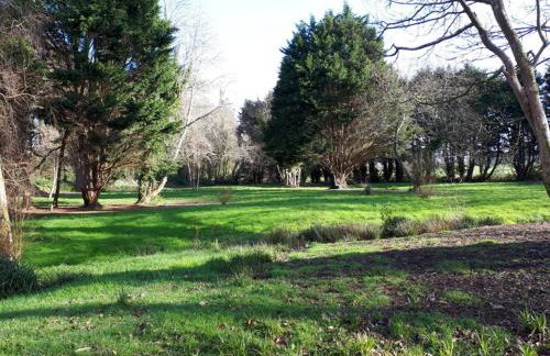 Blue Skies - Foto 36