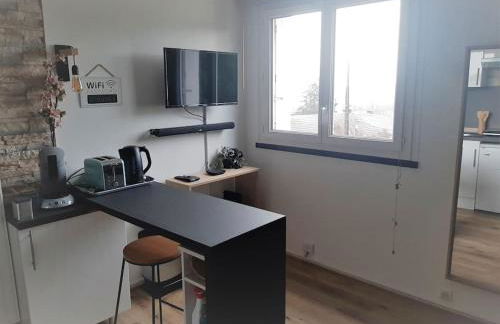 Songe Tropical-InvIRI. Studio CHU. Parking Aisé. - Foto 6