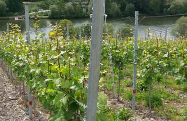 Roussel Hotel Restaurant - Photo 36