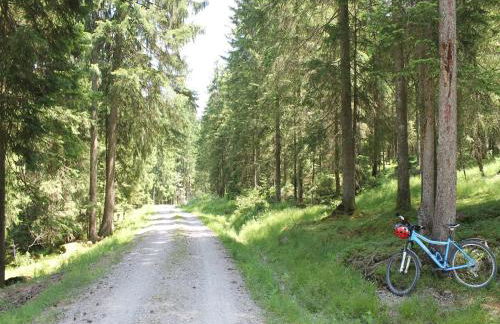 Alpenapartment mit Garten - Photo 63