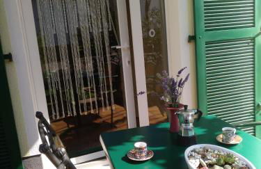 Kakteengarten - Foto 17