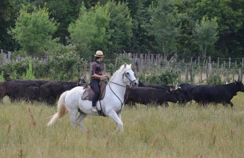 L'Espitalet - Foto 17